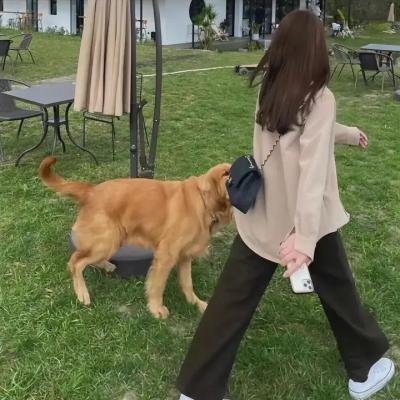 苍兰诀2影三界篇